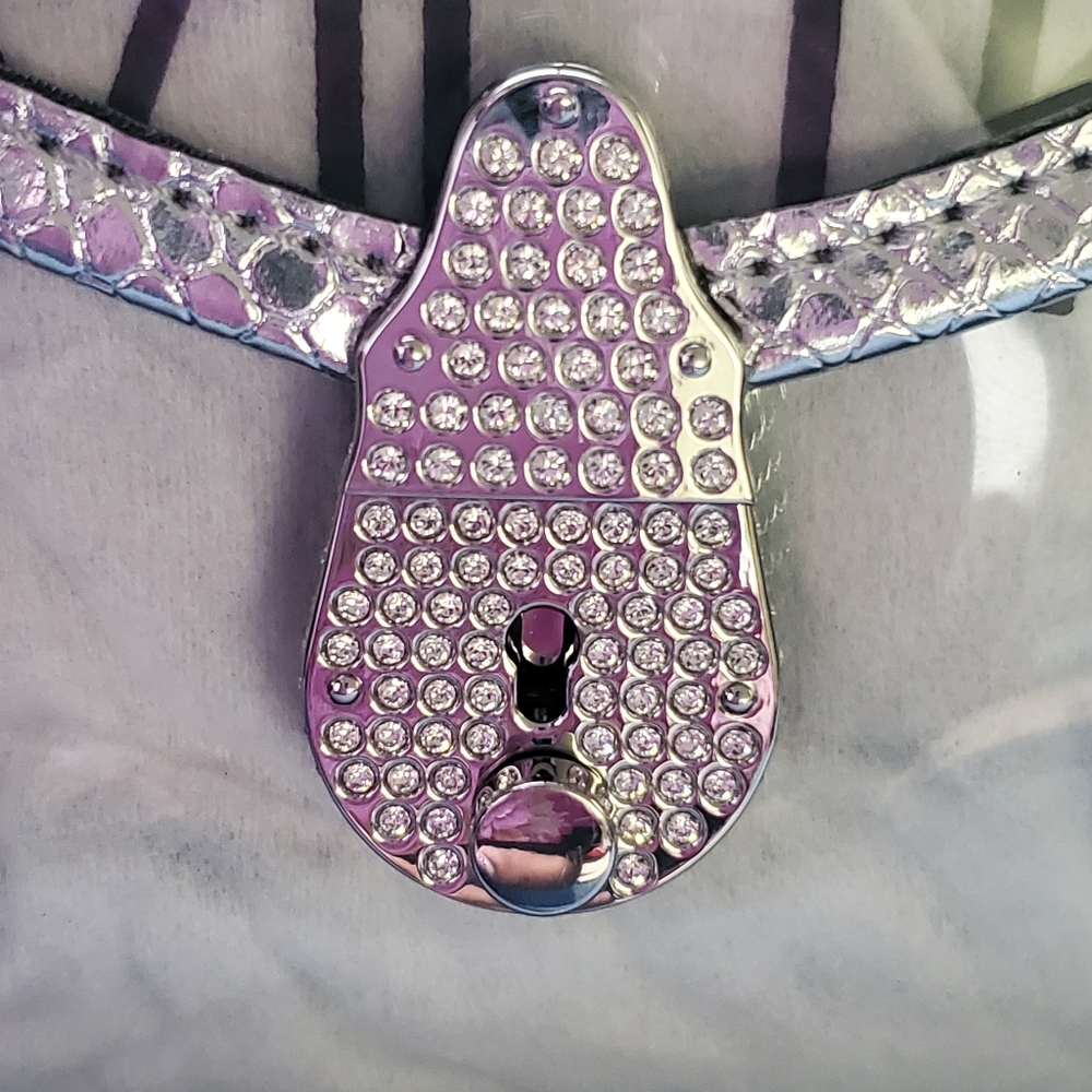 Calvin Klein The Statement Series - Picture 9 of 15